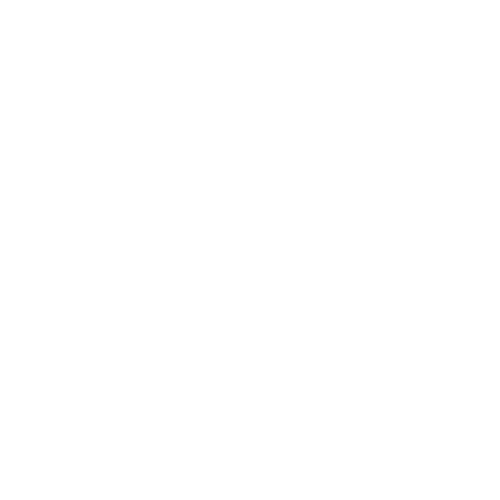 SOC 2 Ready